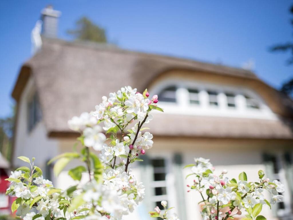 Holiday Home Reet-Seaside Glowe Extérieur photo
